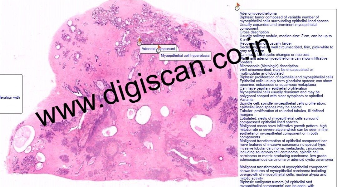 MD Pathology Exam Cases (Digital Slides & Spot Diagnosis Cases)